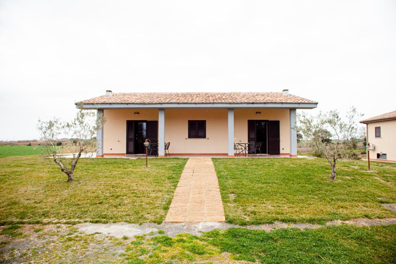 Podere Giovanni Olivo Tarquinia Eksteriør bilde